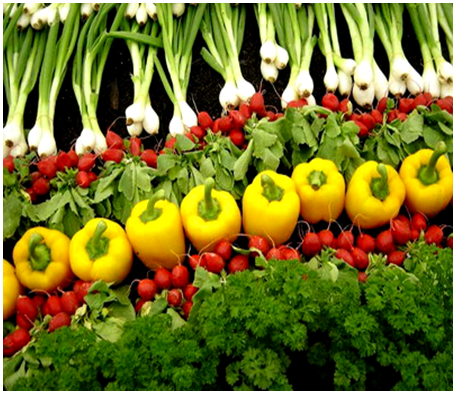 sayuran organik.png